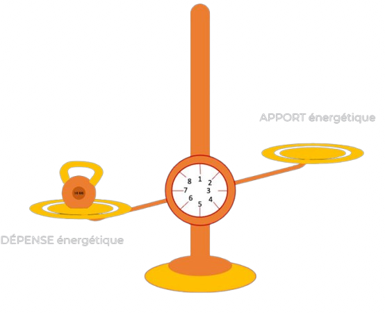 balance énergétique : déficit calorique 